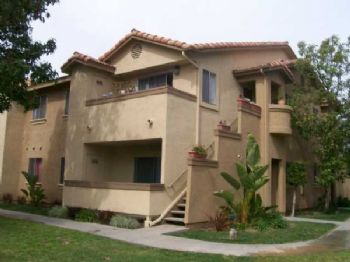 miaamore profile photo