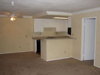 miaamore profile photo