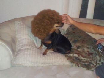 kurtzmg profile photo