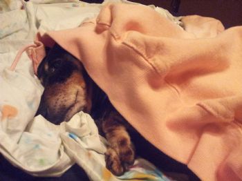 kurtzmg profile photo