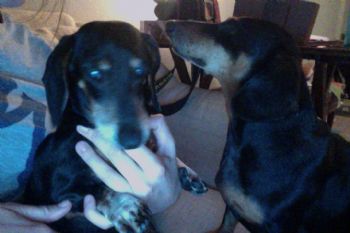 kurtzmg profile photo