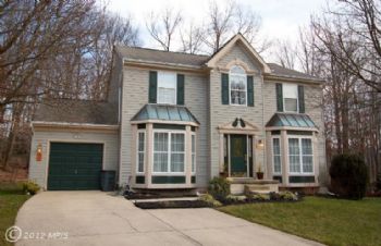 ponieshorses profile photo