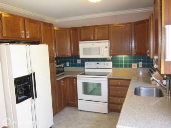 ponieshorses profile photo