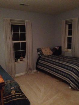 ponieshorses profile photo