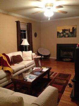 ponieshorses profile photo