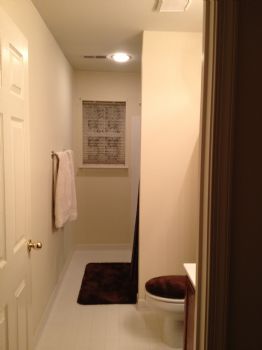 ponieshorses profile photo