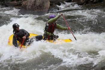 markarmi profile photo