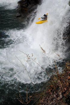 markarmi profile photo