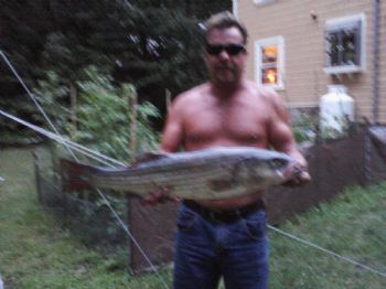 mike mac profile photo