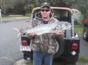 mike mac profile photo