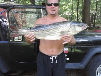 mike mac profile photo