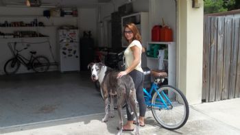 GD1212 profile photo