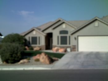 yorkieowner profile photo