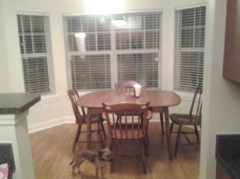 cnmoore20 profile photo