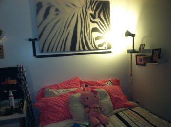 pachs09 profile photo