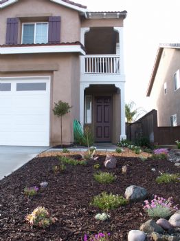 dcrickert profile photo