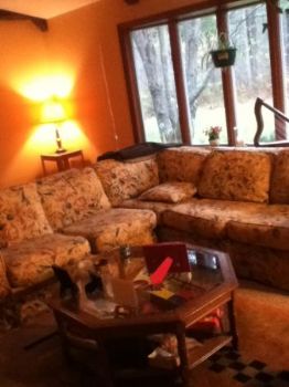 ecianchette profile photo