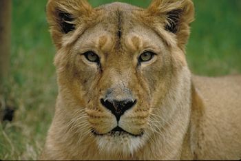 sweethoney7 profile photo