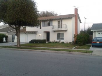 lisagennaro7 profile photo