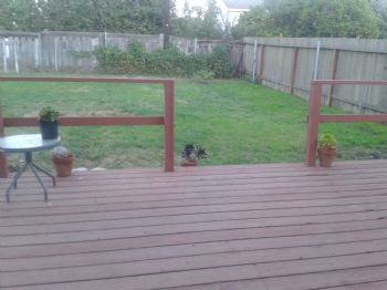 lisagennaro7 profile photo