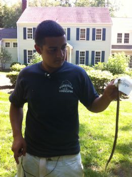 josuetofly profile photo