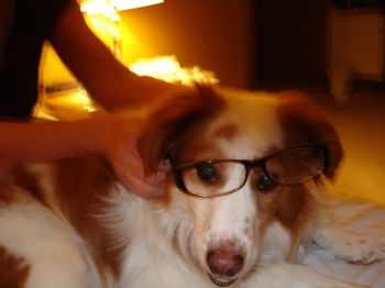 seaside profile photo