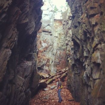 trenard profile photo