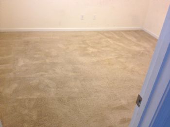 mrbrisc2388 profile photo