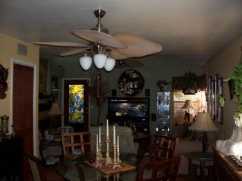 LManson55 profile photo