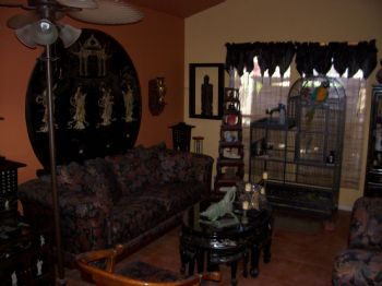 LManson55 profile photo