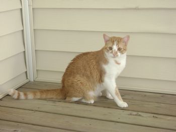 marti34 profile photo