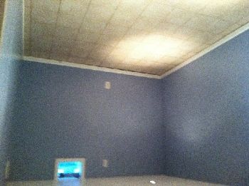 danmenke profile photo