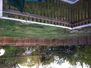 danmenke profile photo