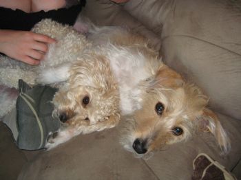 ChristaS profile photo