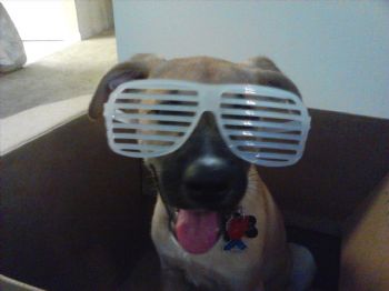 ivecal profile photo