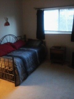 lawlarson profile photo