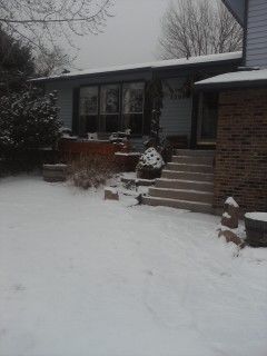 lawlarson profile photo