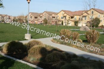 Theaznster profile photo