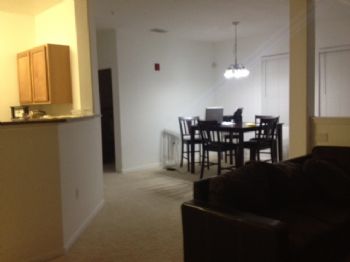 Theaznster profile photo