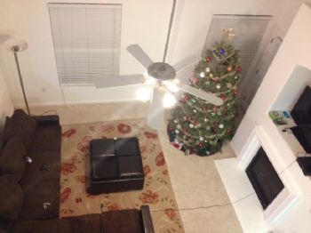 Theaznster profile photo