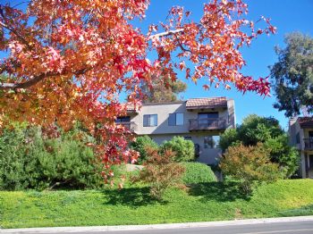 SDSUrental profile photo