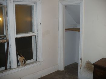 djice49202 profile photo