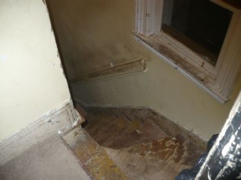 djice49202 profile photo