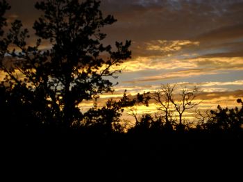 sagandavis profile photo