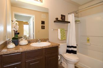 Matt Cox profile photo