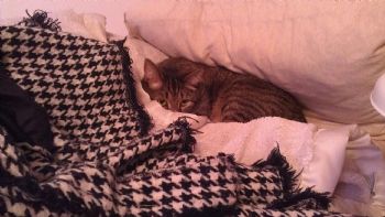 alperry profile photo