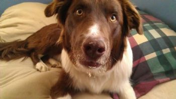 alperry profile photo