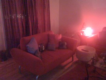 sdcruz profile photo