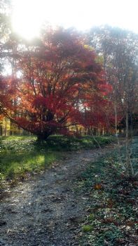 LynneAM profile photo