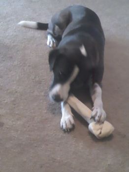 elthompson profile photo